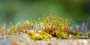 06 IMG_4571